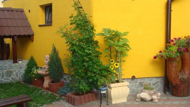 Hotel Privat U Zdenky à Tvrdosin Extérieur photo